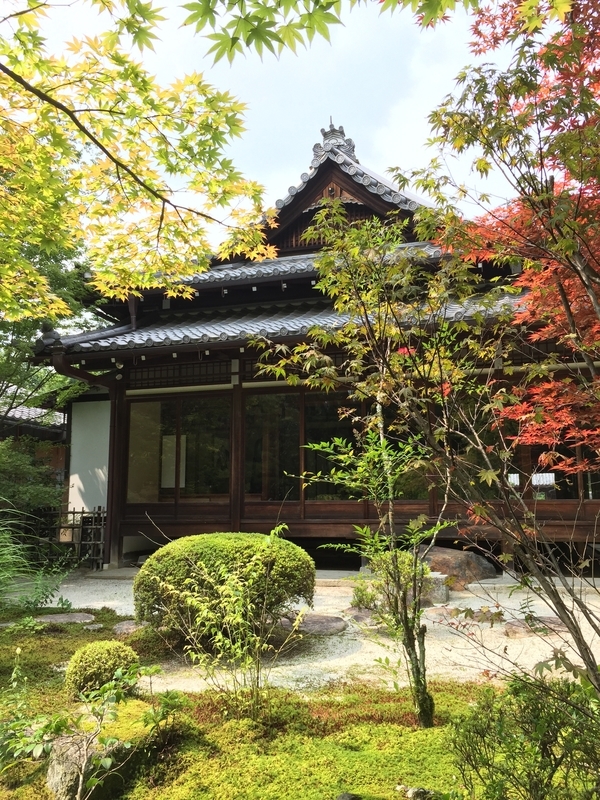 f:id:winered_sky:20191021001717j:plain f:id:winered_sky:20191021001717j:plain