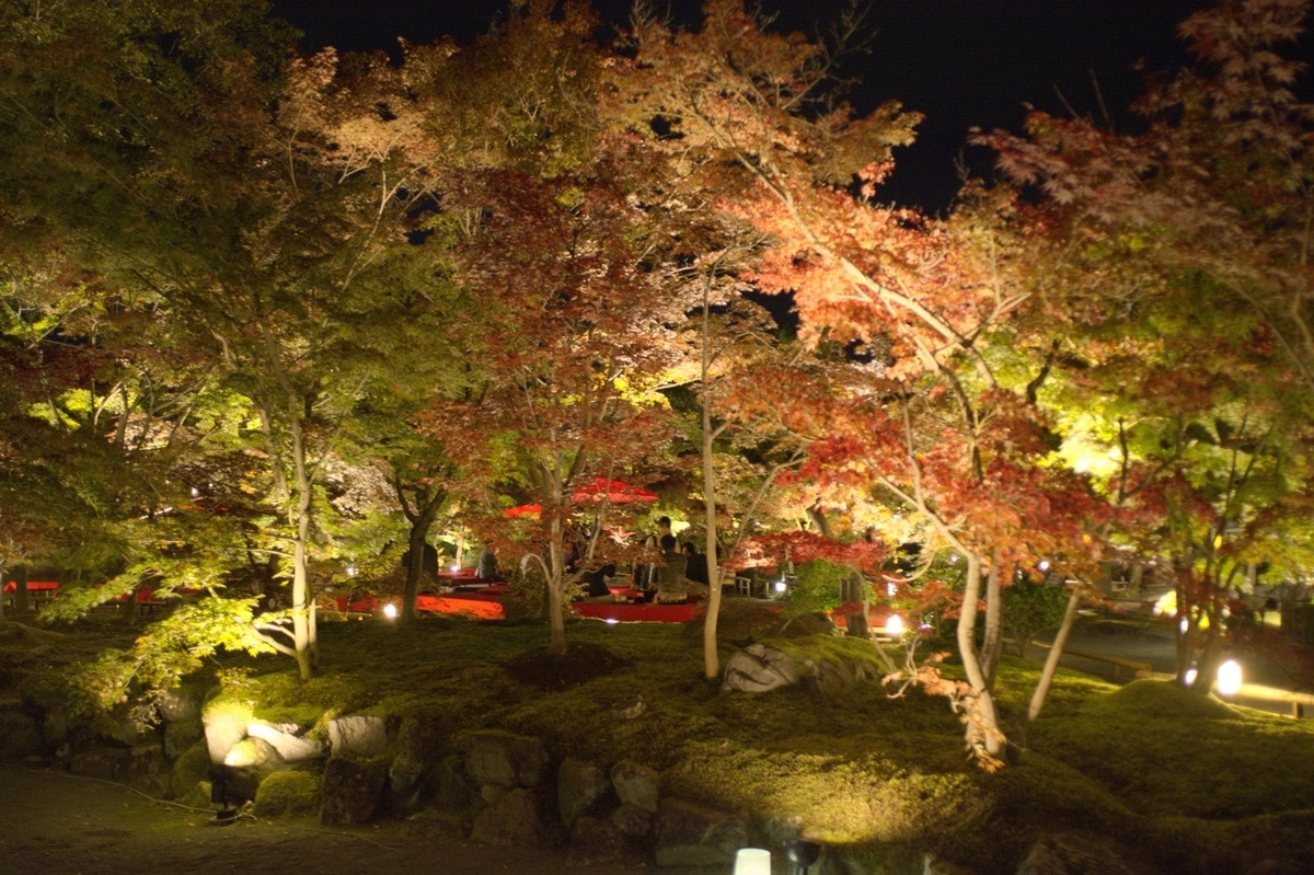 f:id:winered_sky:20200603231139j:plain f:id:winered_sky:20200603231139j:plain