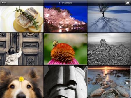 f:id:wineroses:20110501074721j:image