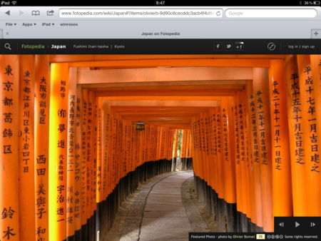 f:id:wineroses:20111122094820p:image