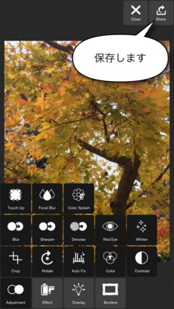 f:id:wineroses:20121130001207j:image