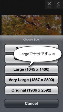 f:id:wineroses:20121130001237j:image