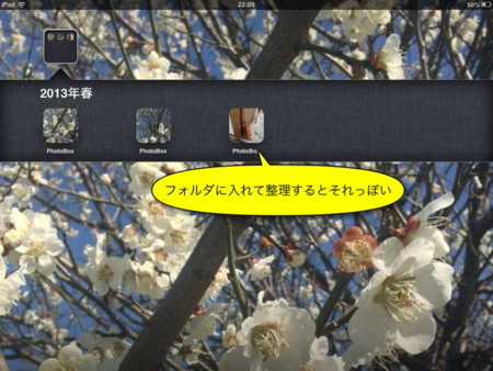 f:id:wineroses:20130319000404j:image f:id:wineroses:20130319000404j:image