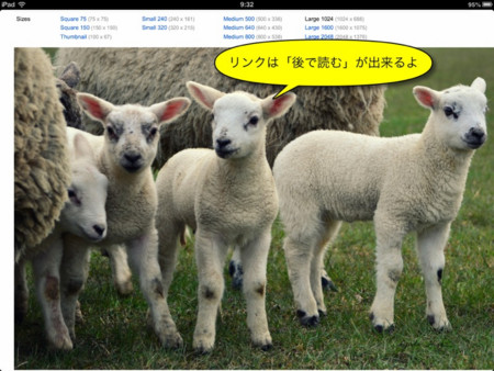 f:id:wineroses:20130401093609j:image