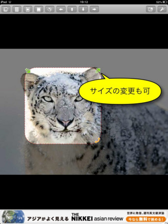 f:id:wineroses:20130617193014j:image