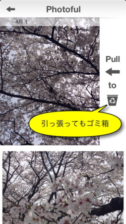 f:id:wineroses:20130626184542j:image