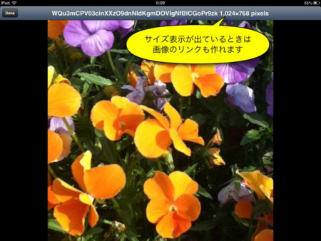 f:id:wineroses:20130702002726j:image f:id:wineroses:20130702002726j:image