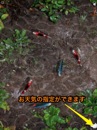 f:id:wineroses:20140329200218j:image f:id:wineroses:20140329200218j:image