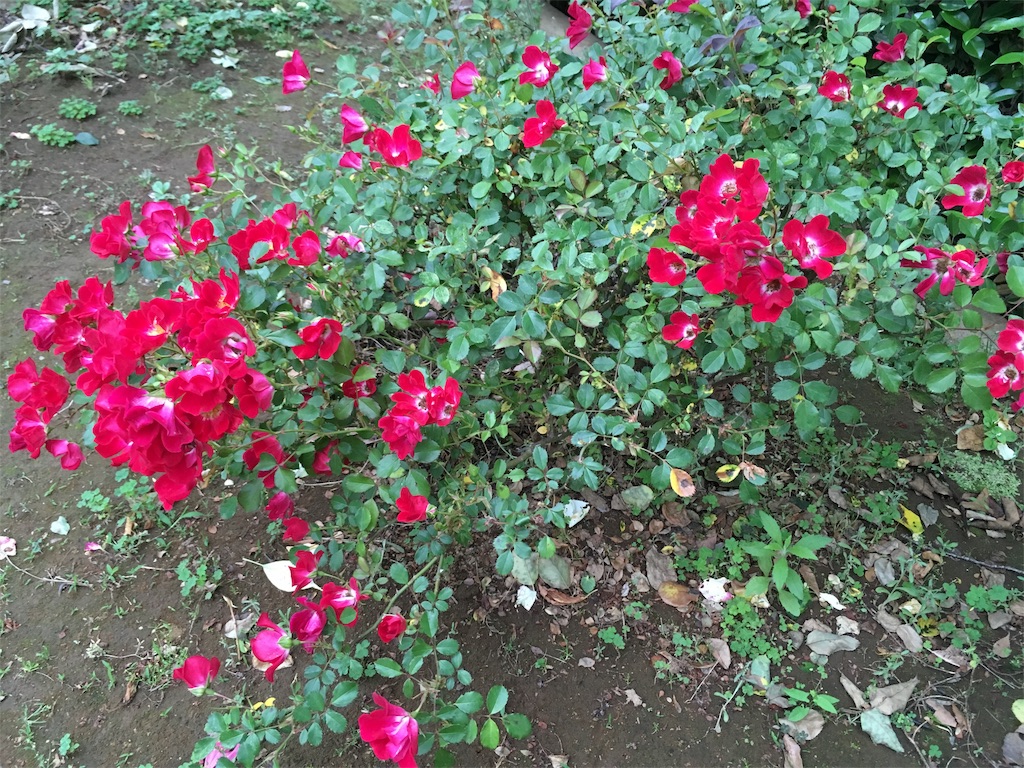 f:id:winewinewine2525:20210518234725j:image f:id:winewinewine2525:20210518234725j:image