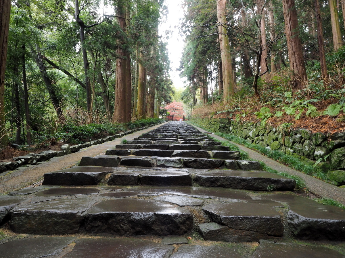 雨に濡れる石畳のフリー画像（写真）