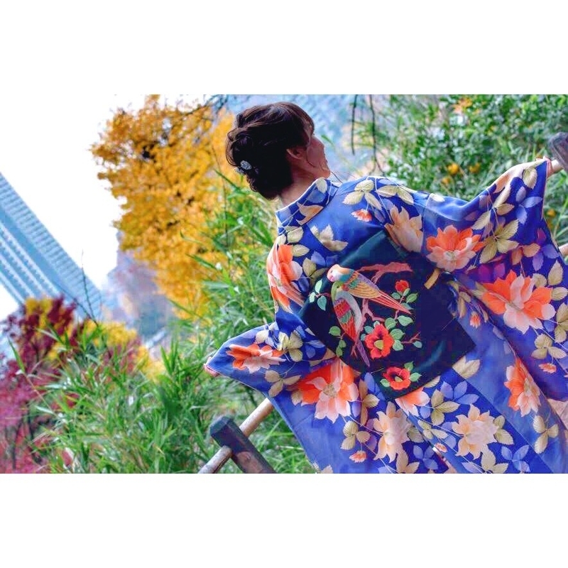 f:id:wing_kimoo:20181228172811j:plain f:id:wing_kimoo:20181228172811j:plain