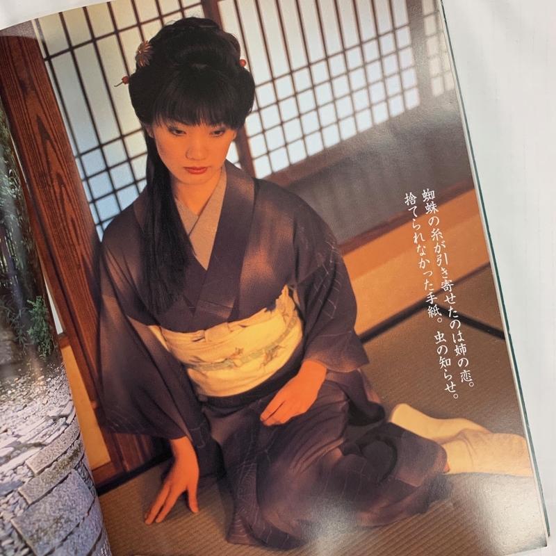 f:id:wing_kimoo:20190628214515j:plain f:id:wing_kimoo:20190628214515j:plain