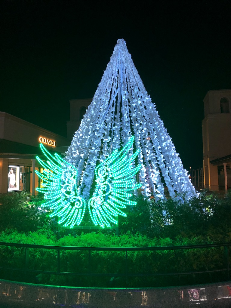 f:id:wingfeet:20191201232315j:image