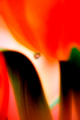 20090313105312