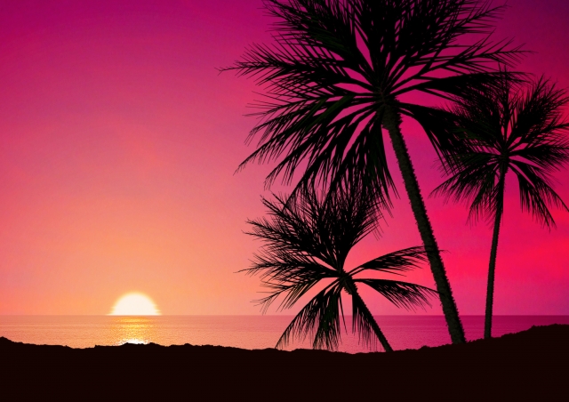 f:id:winternight:20201207124514j:plain