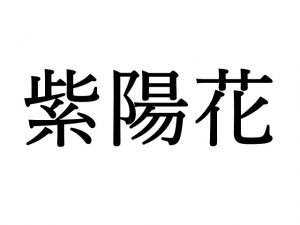 f:id:winternight:20210228044912j:plain