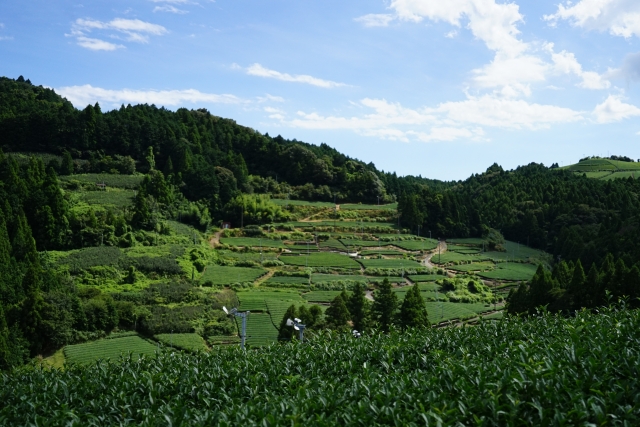 f:id:winternight:20210821055017j:plain