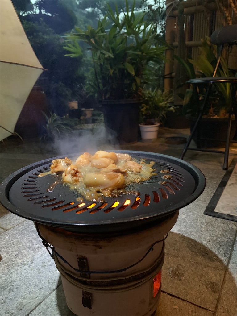f:id:wiry8614159265:20191024135828j:image