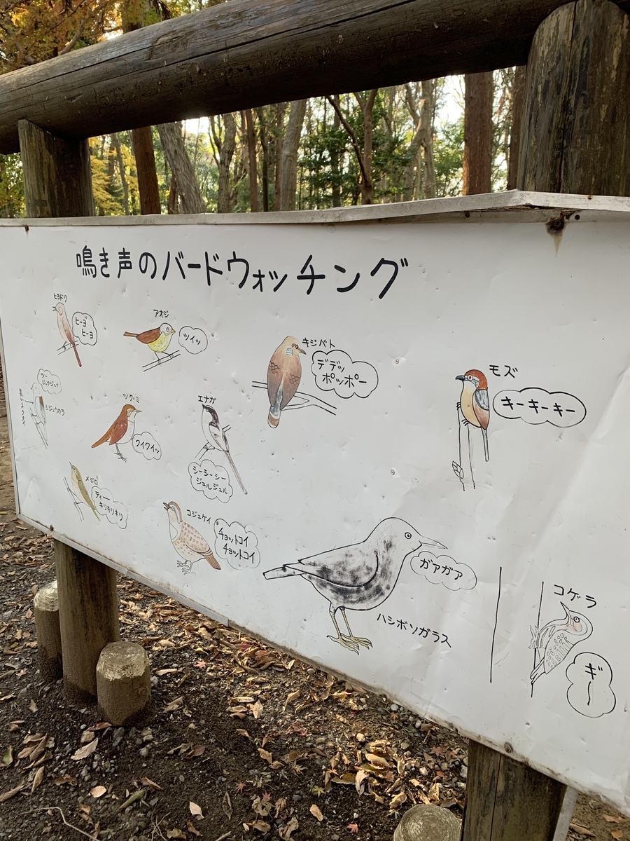 f:id:wiry8614159265:20191208214251j:plain