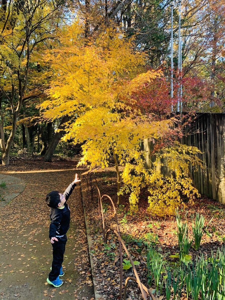 f:id:wiry8614159265:20191208214748j:plain