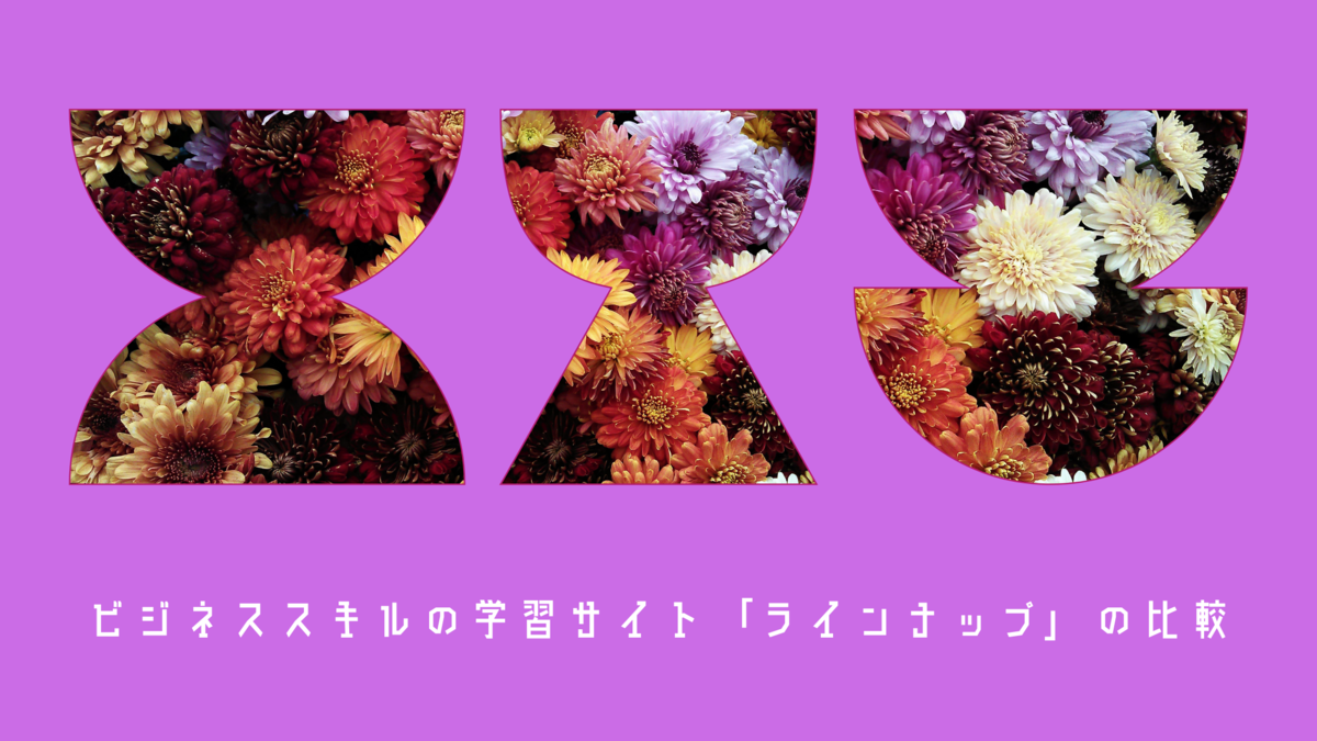 ビジネススキルの学習サイト「ラインナップ」の比較