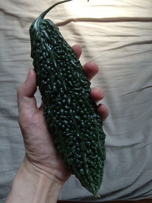 f:id:wisemasu:20130810093028j:image