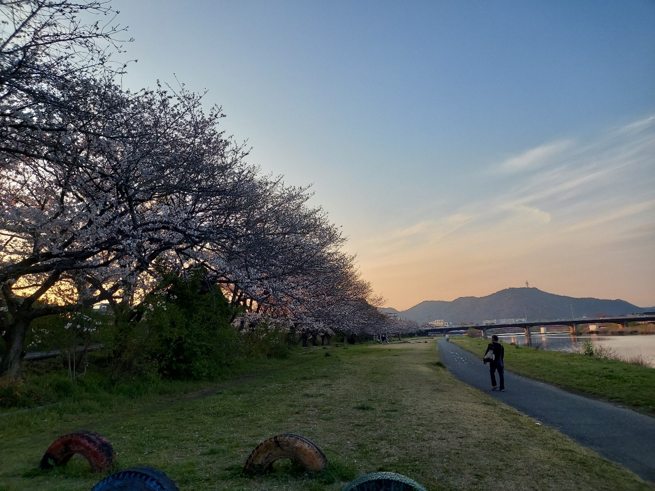 f:id:wishhappiness:20260501095129j:image