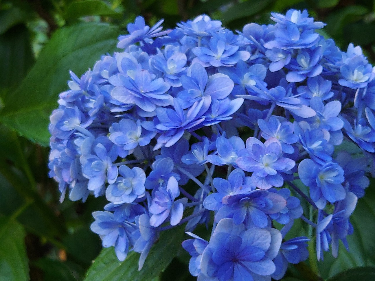 f:id:wishhappiness:20260622121033j:image