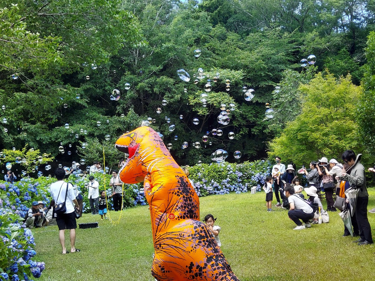 f:id:wishhappiness:20260622121034j:image