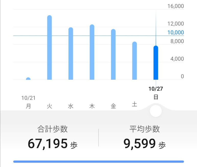 f:id:wistaria_with_river_piyo:20191027204408j:plain