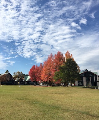 f:id:wisteriamom:20201109070549j:plain