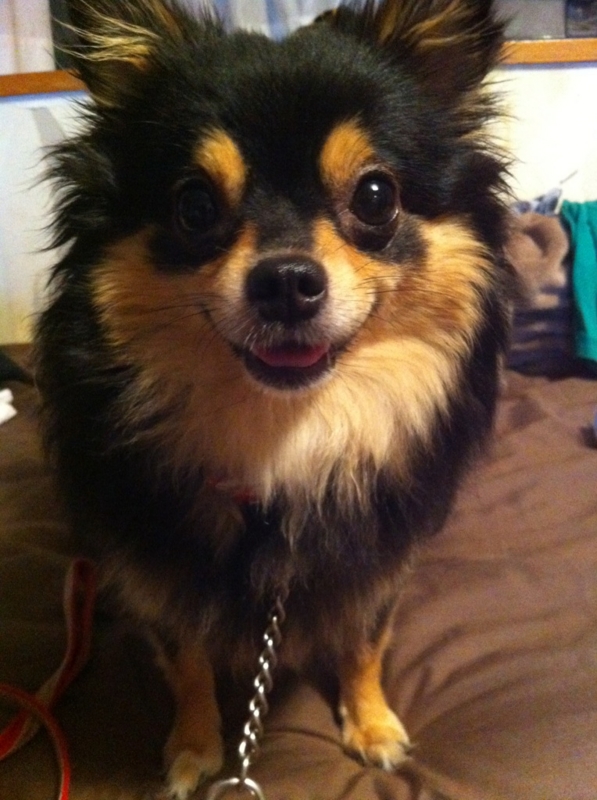 f:id:with1985:20120706213148j:image:w360