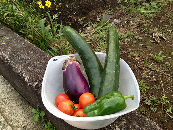 f:id:with1985:20130701182854j:image:w360