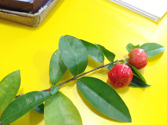 f:id:with1985:20131009150151j:image:w360