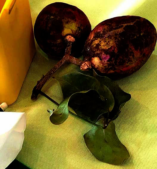 f:id:with1985:20181129112454j:image:w360