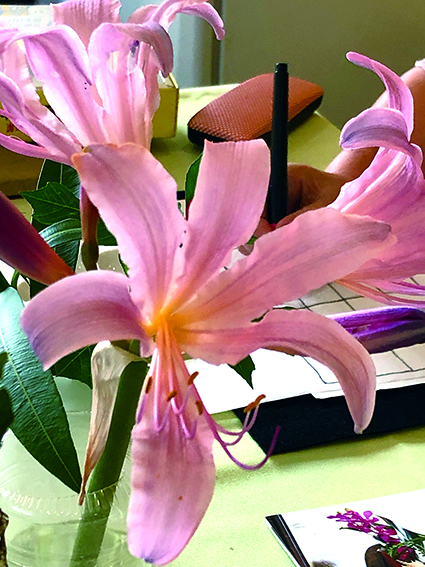 f:id:with1985:20200803115708j:plain