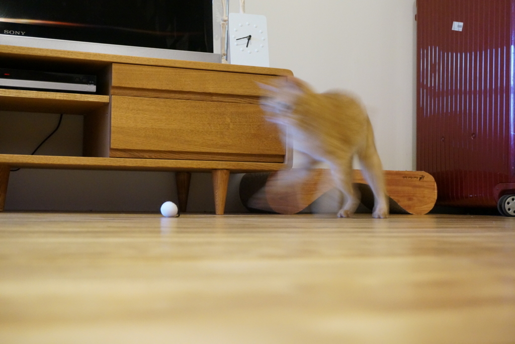 f:id:withTora:20180618112950j:plain f:id:withTora:20180618112950j:plain