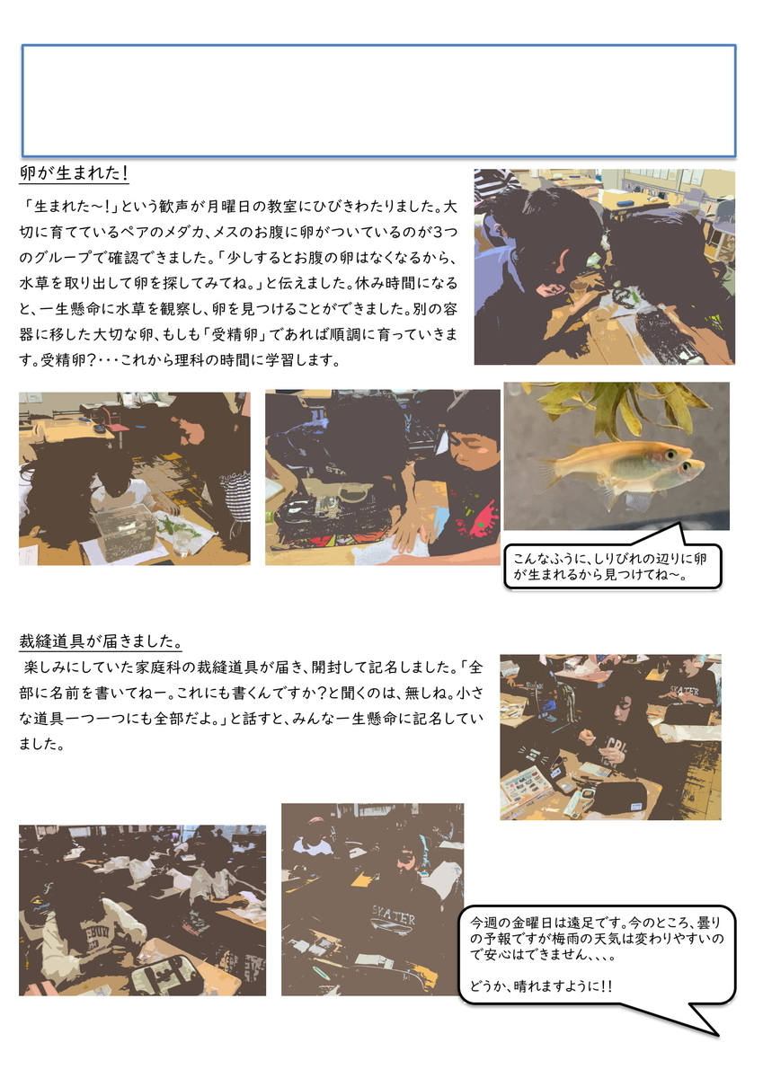 2019年度 学級通信 43号 メダカ産卵 裁縫道具 - ICT活用 AIブログ