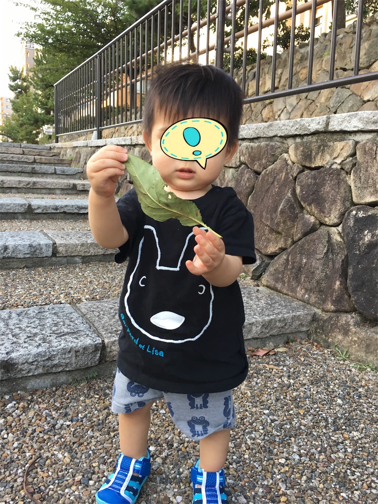 f:id:withme24:20160827164200j:image f:id:withme24:20160827164200j:image