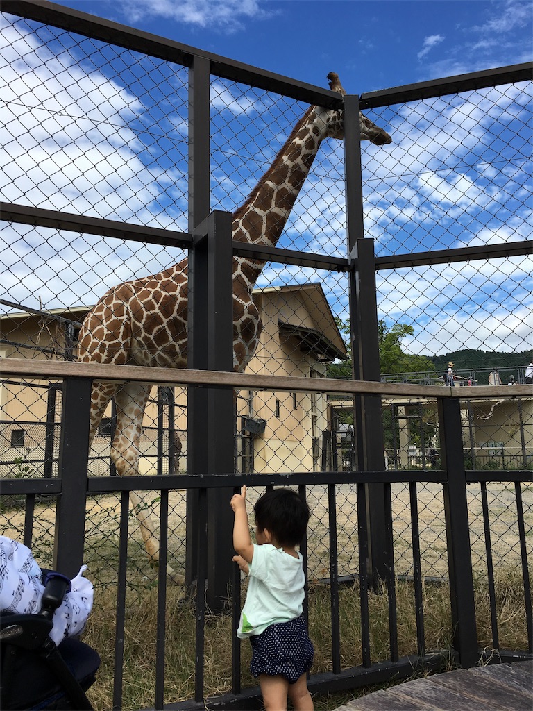 f:id:withme24:20160827164425j:image f:id:withme24:20160827164425j:image