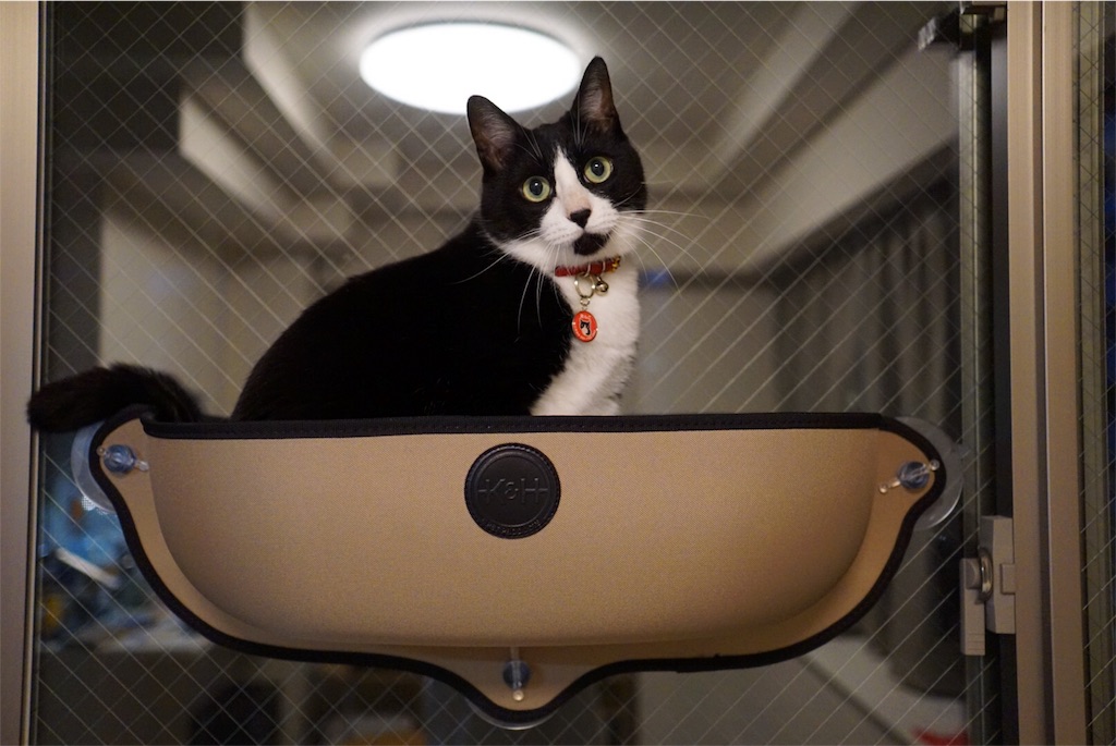 f:id:withme24:20160827164951j:image f:id:withme24:20160827164951j:image