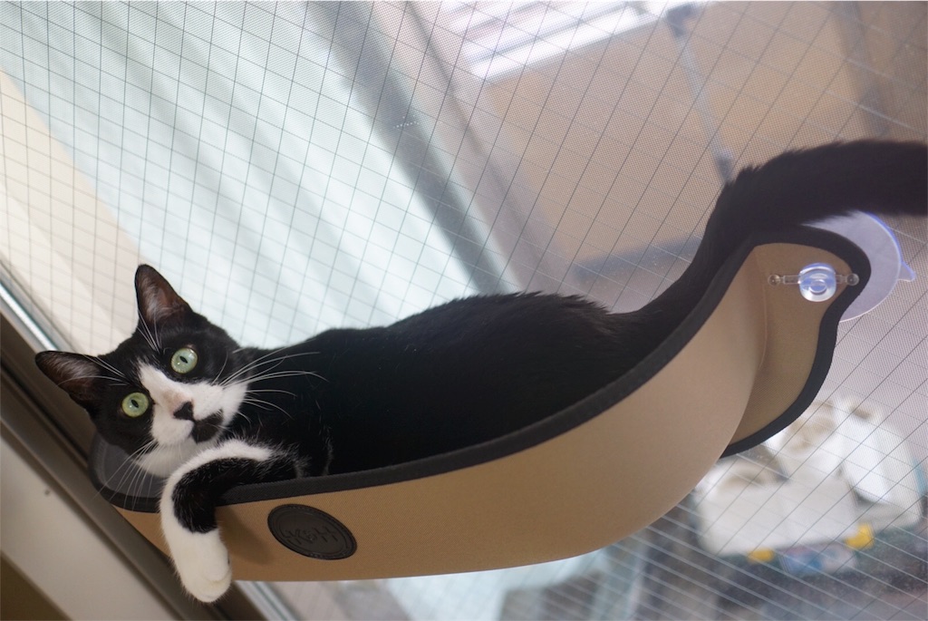 f:id:withme24:20160827165159j:image f:id:withme24:20160827165159j:image