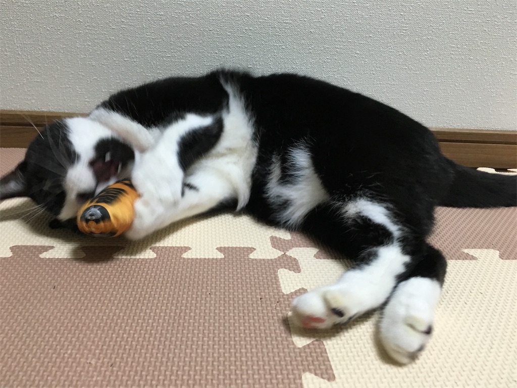 f:id:withme24:20160827165253j:image f:id:withme24:20160827165253j:image