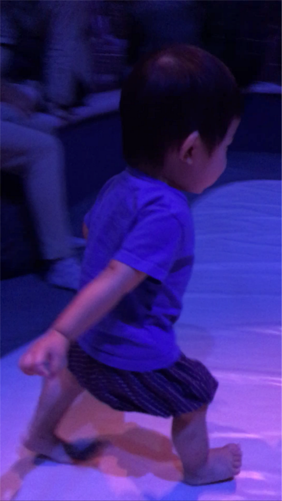 f:id:withme24:20161017081802p:image f:id:withme24:20161017081802p:image