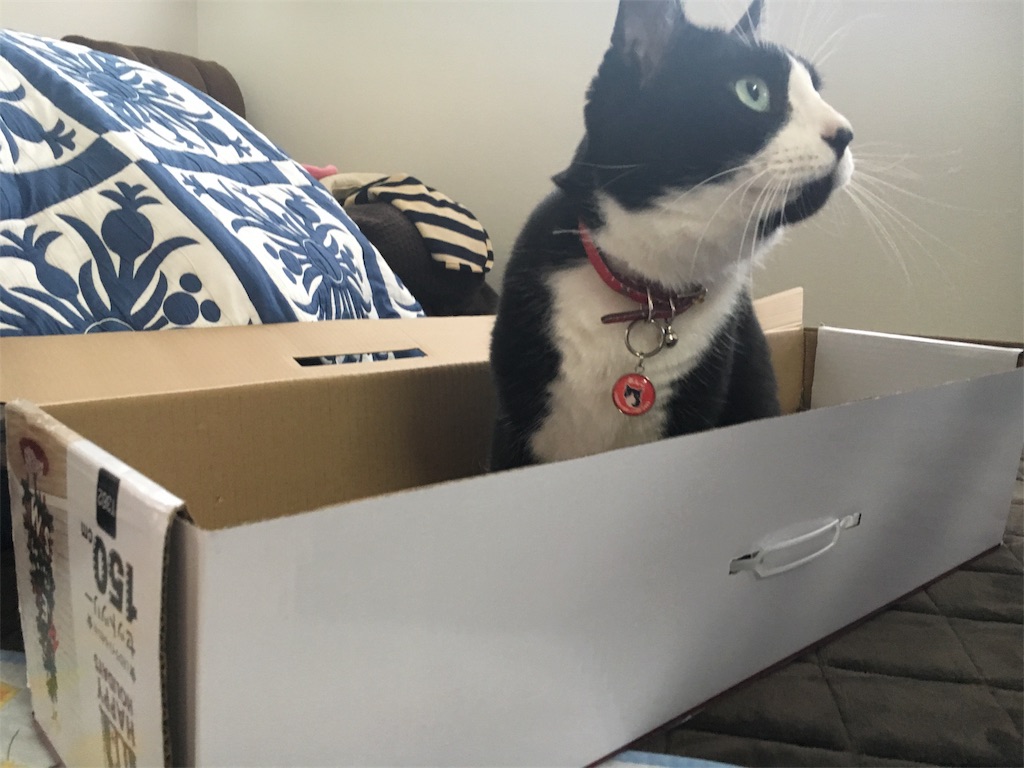 f:id:withme24:20170121084023j:image