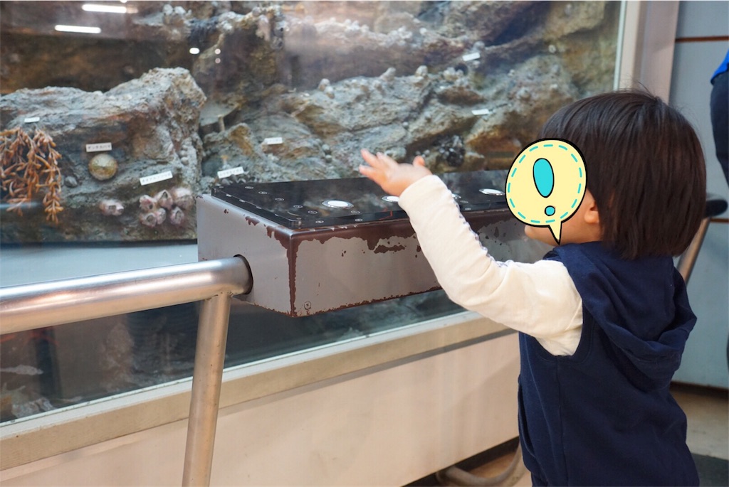 f:id:withme24:20170603215029j:image f:id:withme24:20170603215029j:image