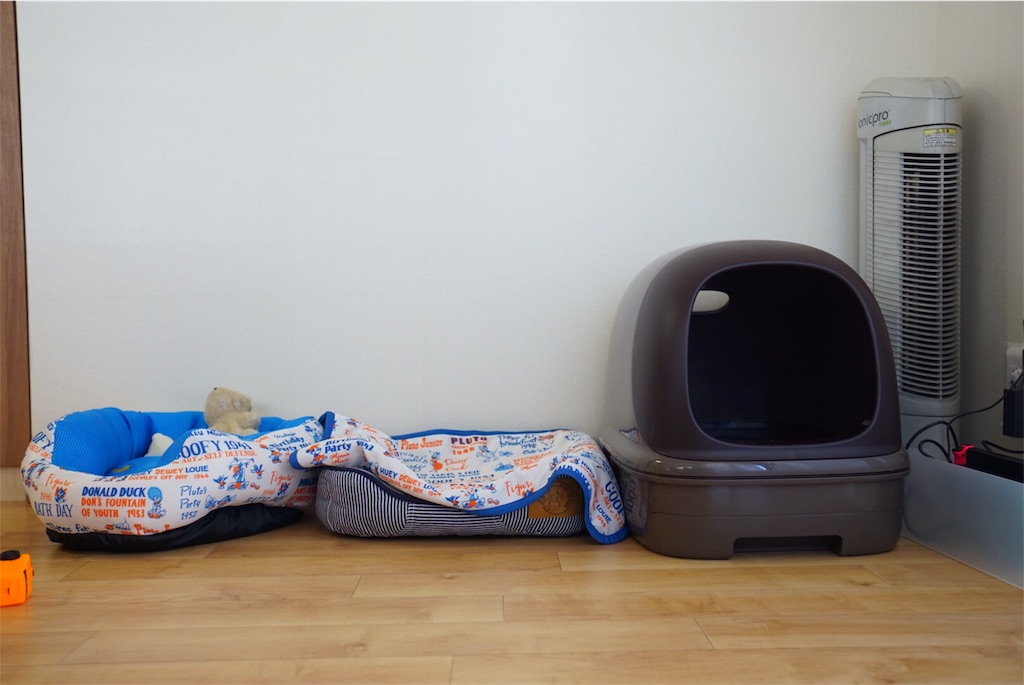 f:id:withme24:20170831131445j:image f:id:withme24:20170831131445j:image