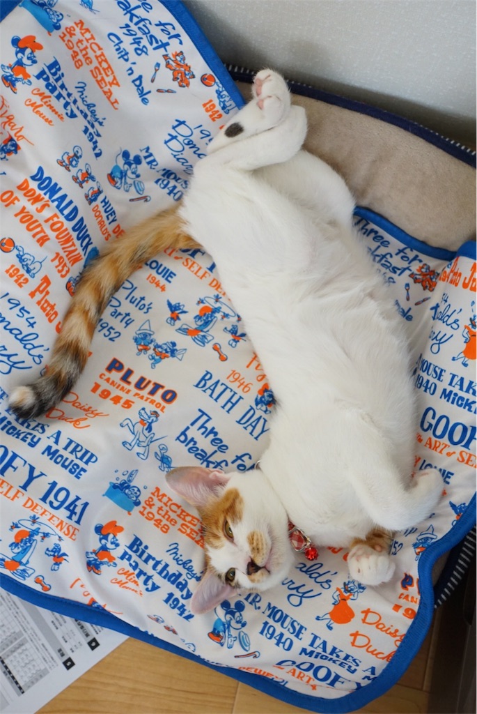 f:id:withme24:20170831131537j:image f:id:withme24:20170831131537j:image