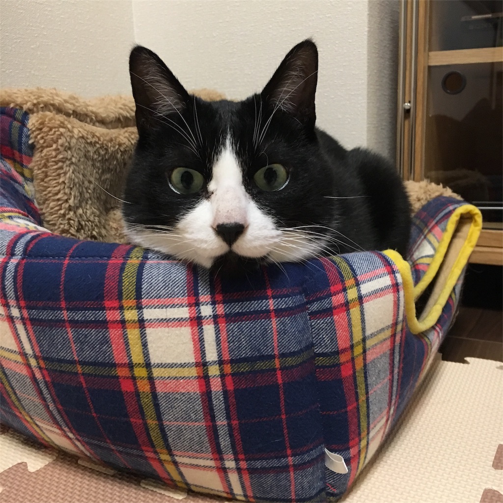 f:id:withme24:20170831132536j:image f:id:withme24:20170831132536j:image