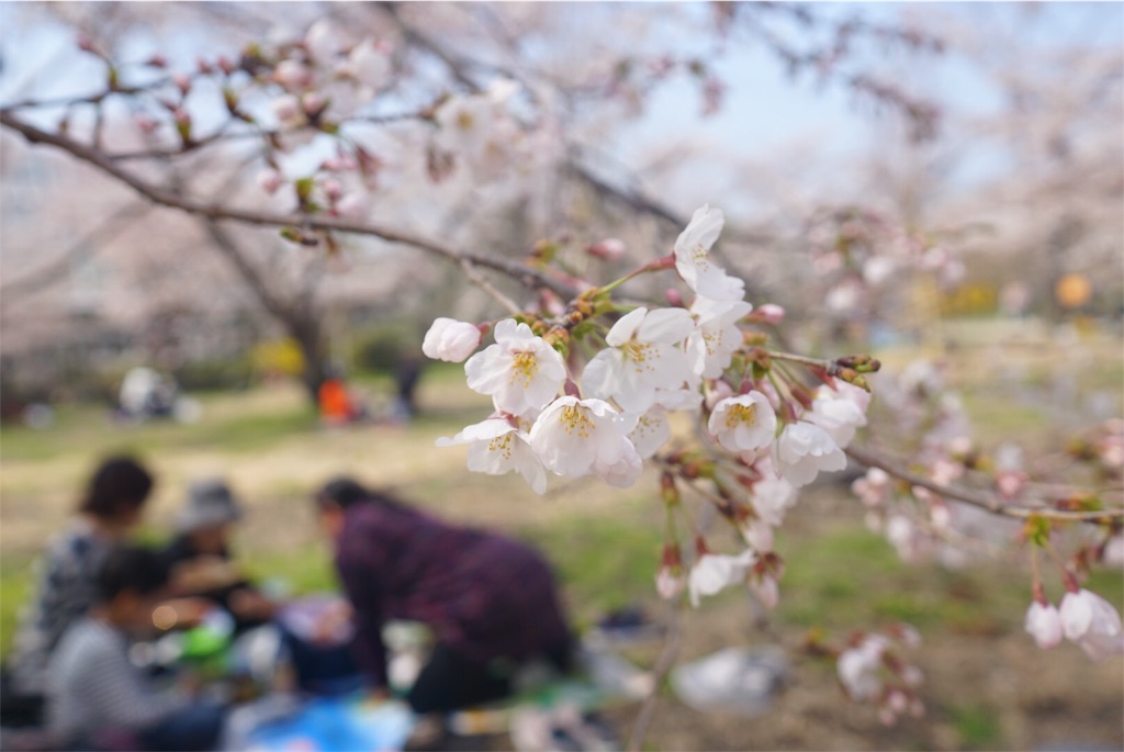 f:id:withme24:20180328232224j:image f:id:withme24:20180328232224j:image